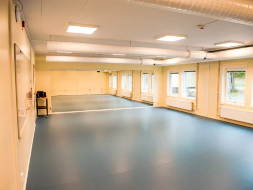 Skole med egen dansesal