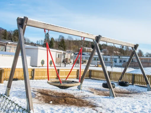 Barnehage med sedumtak